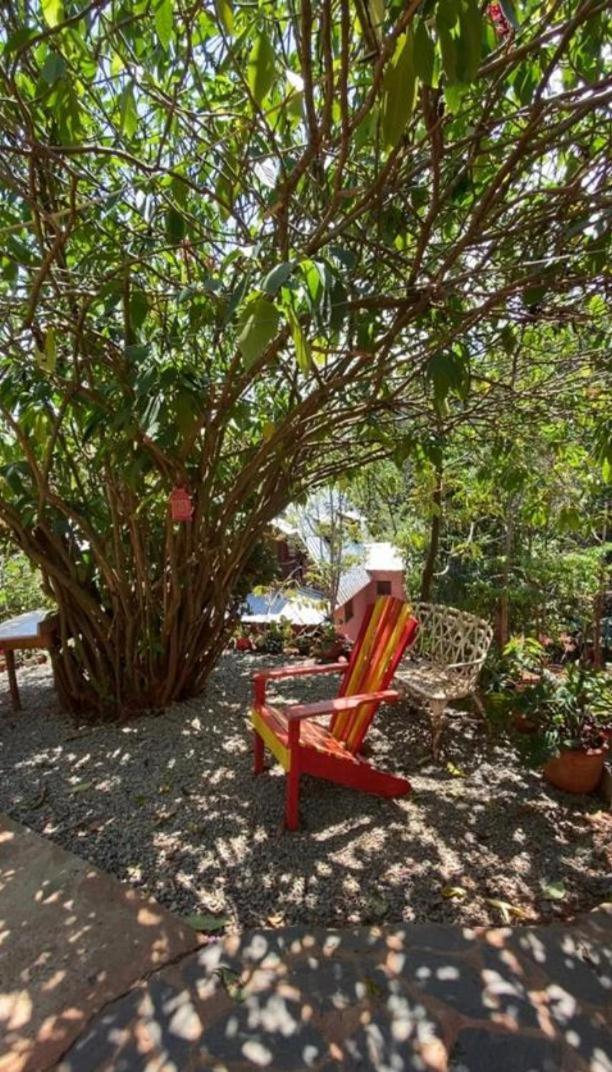 El Campo En Jarabacoa Villa Kültér fotó